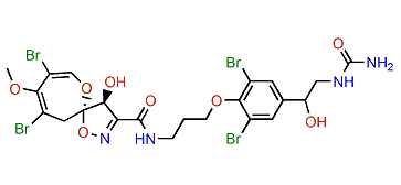 19-Hydroxypsammaplysin Z